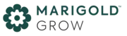 Marigold Grow