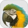 MACAW Agency Management System