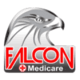 Falcon Software