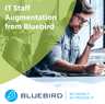 Bluebird International IT Staff Augmentation
