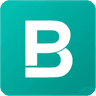 BigPicture Company API