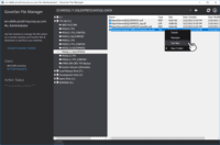 Screenshot of Goverlan File Manager