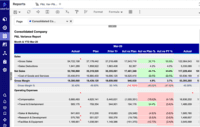 Screenshot of Planful Dynamic Report