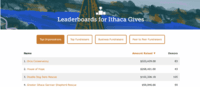 Screenshot of a customizable leaderboard with a built-in prize picker, and site-wide matching features, used to build momentum and engage donors.