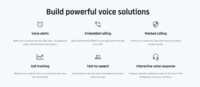 Screenshot of VoIP features