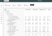 Screenshot of SoftLedger Balance Sheet