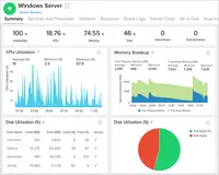Screenshot of Summary page for a windows server monitor