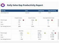 Screenshot of Daily Sales Productivity dashboard example
