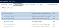 Screenshot of Auto-assign existing Work Items in CRM to users