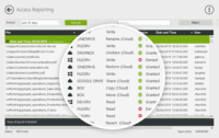 Screenshot of FileAudit Access Reporting (on premise and in the cloud)