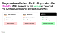 Screenshot of Flex RIs Usage offers to achieve maximum results with minimum spend
