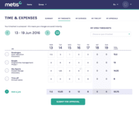 Screenshot of Time and Expense Tracking