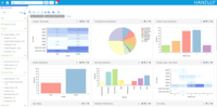 Screenshot of Out of the box Analytic Dashboard
