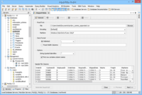 Screenshot of The Import Tool and Export Tool of Aqua Data Studio.