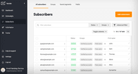 Screenshot of Subscribers management and segmentation.