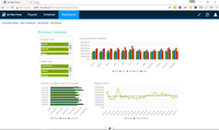 Screenshot of Revenue Analysis