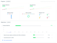 Screenshot of Company level OKR dashboard - view status at a glance