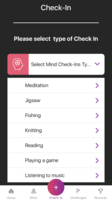 Screenshot of Mindful Activity Check-In