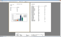 Screenshot of Overall Security Report - Print/Preview