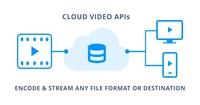 Screenshot of Cloud Video APIs by Veeplay