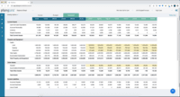 Screenshot of Balance Sheet
