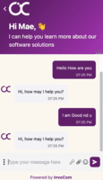 Screenshot of Chatbot Responce
