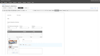 Screenshot of B uilt-in web form designer
