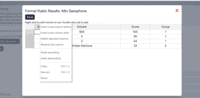 Screenshot of Customizable Optional Results Web Pages
