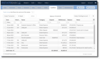 Screenshot of User Interface; Cashflow Tab