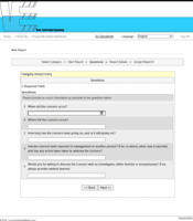 Screenshot of Online Reporting Questions