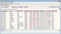 Screenshot of System Privileges Security - Advanced Report