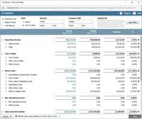 Screenshot of Easily review your GL accounts by P&L, Balance Sheet or Trial Balance with a capability to drilldown to transaction level.