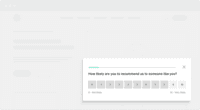 Screenshot of Website survey