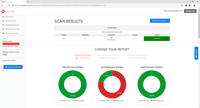 Screenshot of Web Audit Summary