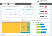 Screenshot of Dundas BI Dashboard Sample - Hospital and Healthcare