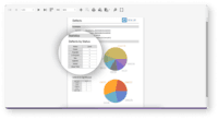 Screenshot of A customized data-bound report. These contain a broad set of tools to construct report layouts.