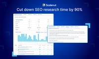 Screenshot of Cuts down on SEO research time