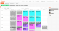 Screenshot of Staff calendar view