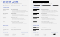 Screenshot of Example output - Redacted resume