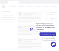 Screenshot of chatbot on the website