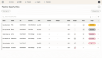 Screenshot of Manage your pipeline opportunities keeping track of each status and never miss on leads!