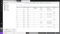 Screenshot of Pimcore CSV Import