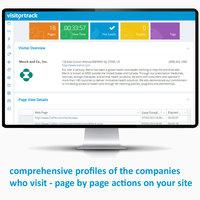 Screenshot of Turn anonymous website visitors into B2B leads