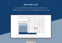 Screenshot of Marimekko chart - A mix of 100% stacked column chart and 100% stacked bar chart combined into one view.