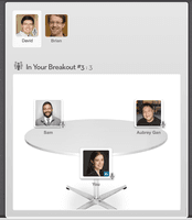 Screenshot of A "breakout group" discussion - where you can see the faces of the other people you talk with by phone or using VOIP/your computer