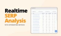 Screenshot of Realtime SERP Analysis
