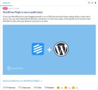 Screenshot of WordPress plug-in