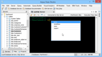 Screenshot of The advanced shell FluidShell of Aqua Data Studio.