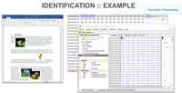 Screenshot of a Document Filters Identification example
