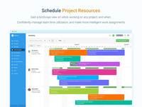Screenshot of Visual Project Resource Scheduling for Teams